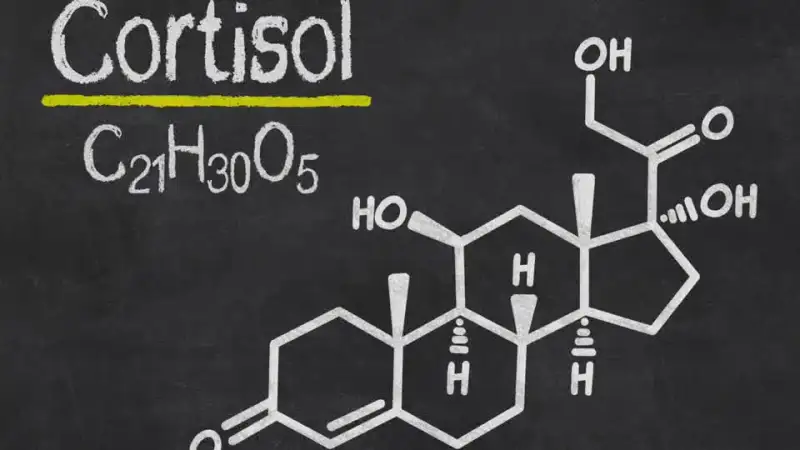 Cortisol hormone structure with chemical formula C21H30O5