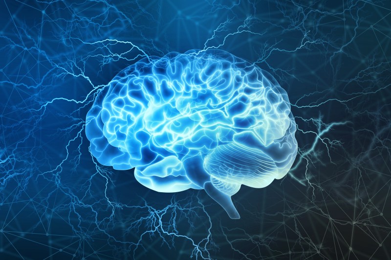 Human brain illustration